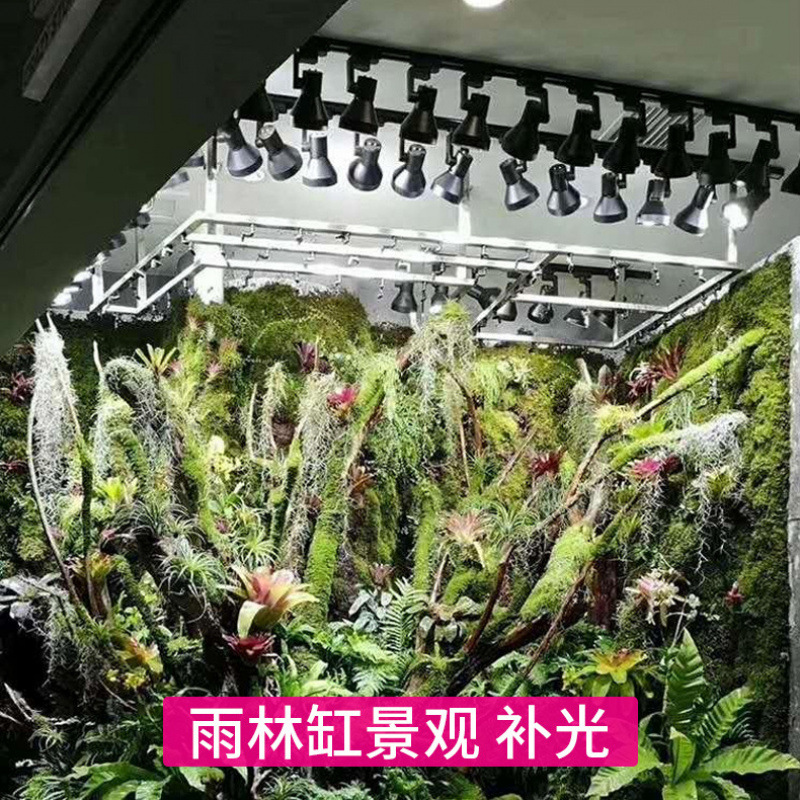 Tam Spektrumlu Bitki Yetiştirm - Plant Grow Light Full Spectrum incelemesi ve fiyatı