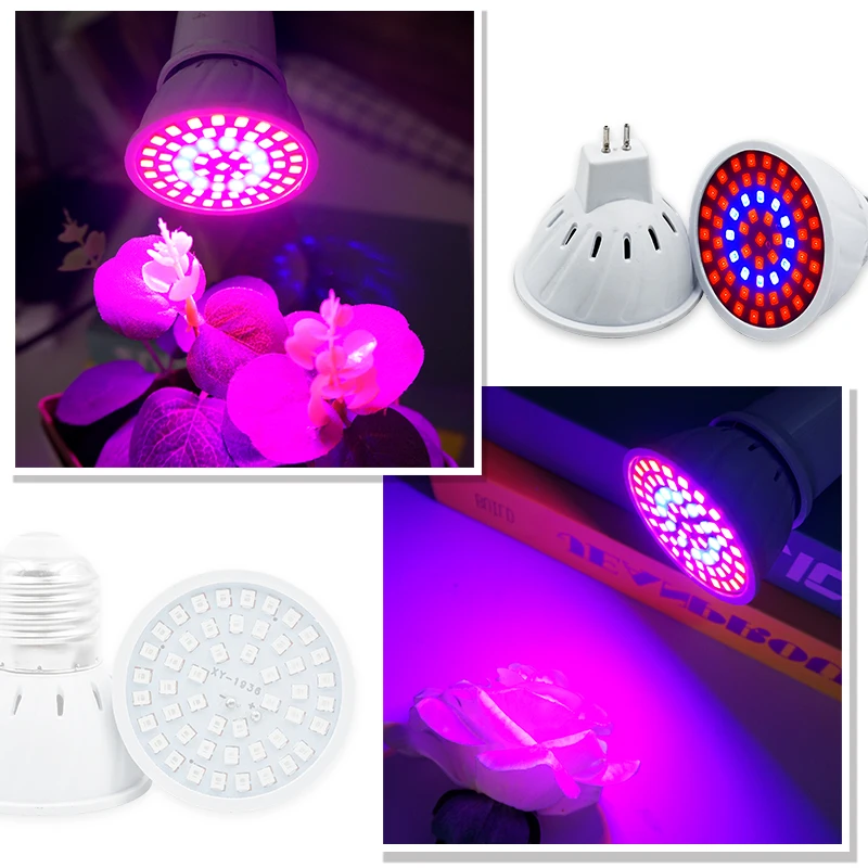 Phyto Lamba Tam Spektrum LED B - Plant Grow Light Full Spectrum incelemesi ve fiyatı