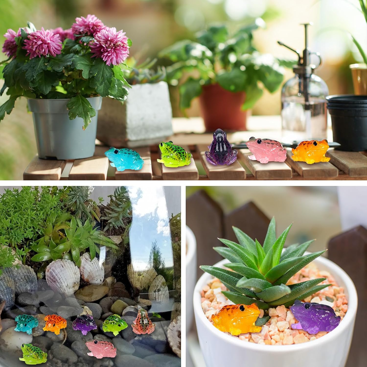 50/20 adet Minyatür Kurbağa Fi - Smart Garden Mini incelemesi ve fiyatı