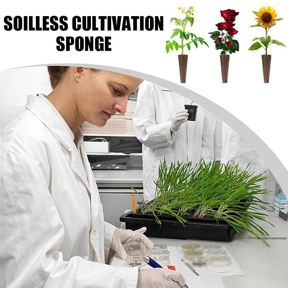 50 adet tohum yetiştirme sünge - Aerogarden Seed Pod incelemesi ve fiyatı