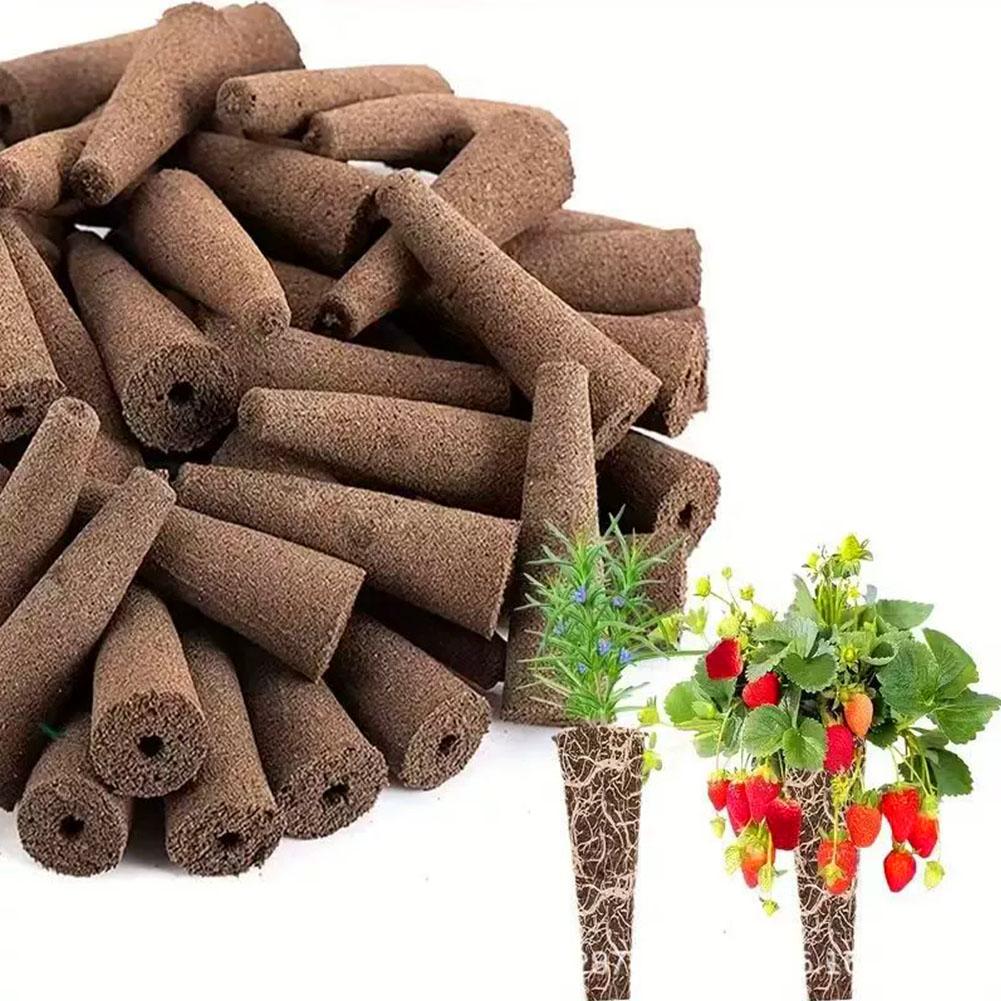 50 adet tohum yetiştirme sünge - Aerogarden Seed Pod incelemesi ve fiyatı