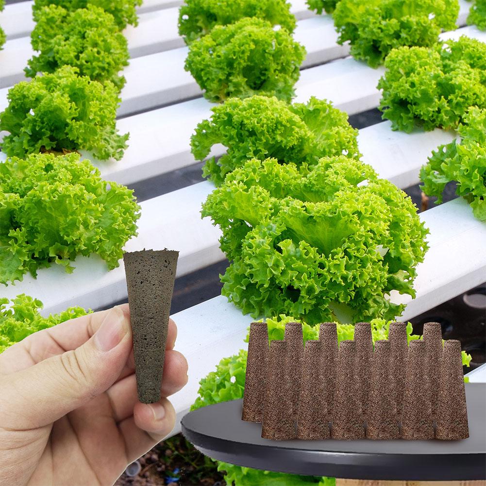 50 adet tohum yetiştirme sünge - Aerogarden Seed Pod incelemesi ve fiyatı