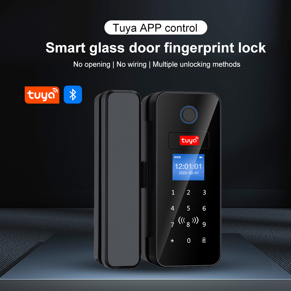 Çift Kanca Akıllı Cam Kapı Kil - Smart Garden Gate Lock incelemesi ve fiyatı