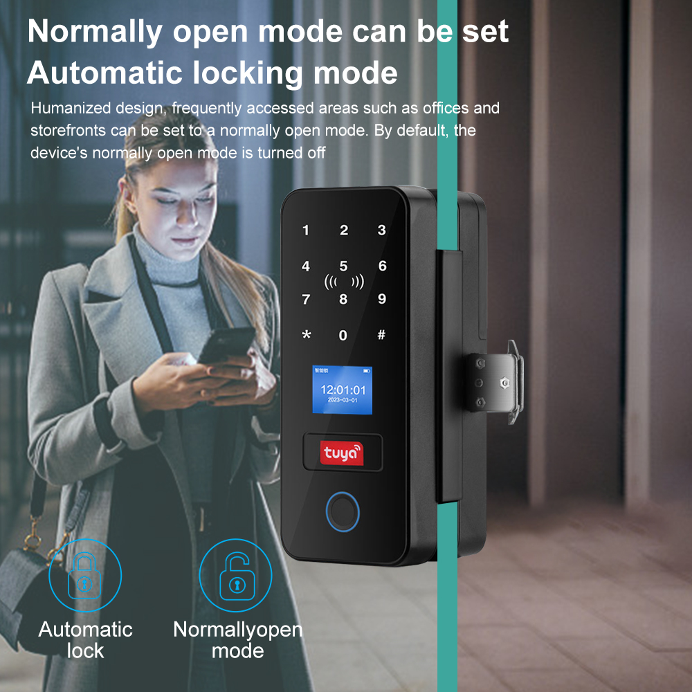 Çift Kanca Akıllı Cam Kapı Kil - Smart Garden Gate Lock incelemesi ve fiyatı