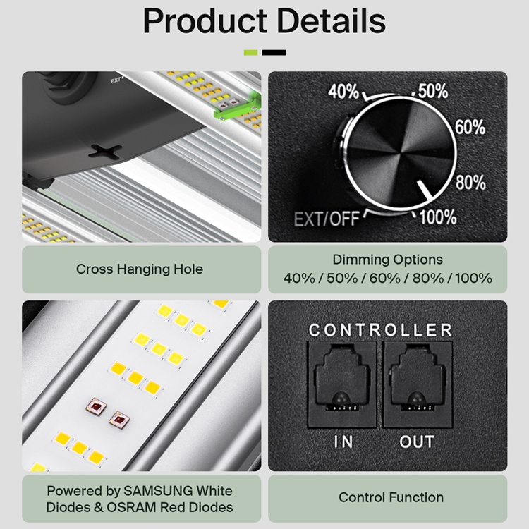 3,75 Lbs'ye kadar verim sağlay - Plant Grow Light Full Spectrum incelemesi ve fiyatı
