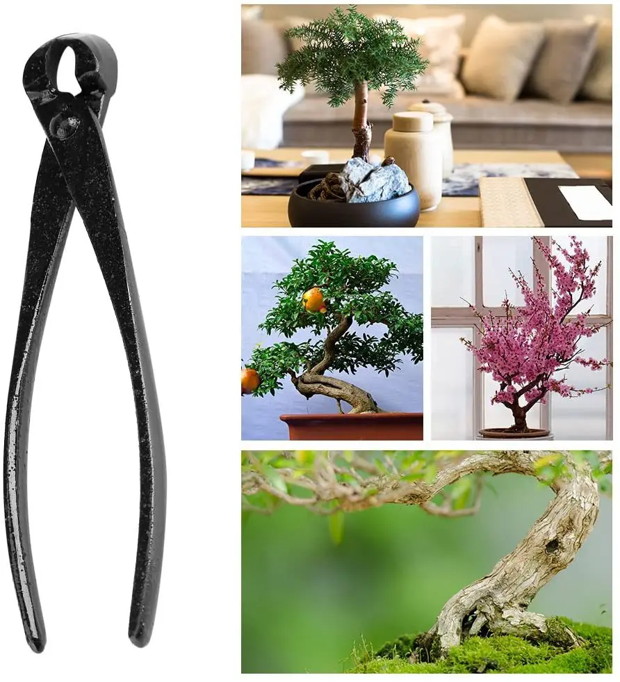 1 adet Profesyonel Bonsai Topu - Smart Garden Edging incelemesi ve fiyatı