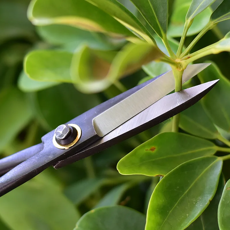 1 adet Profesyonel Bonsai Topu - Smart Garden Edging incelemesi ve fiyatı