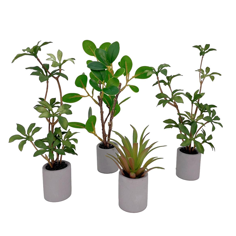 1:6 Evcilik Minyatür Saksı Bit - Smart Garden Mini incelemesi ve fiyatı