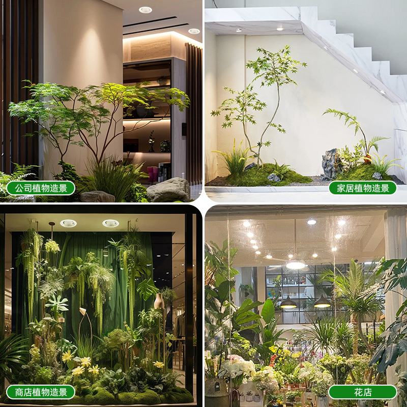 Tam Spektrumlu Kısılabilir Oda - Plant Grow Light Full Spectrum incelemesi ve fiyatı