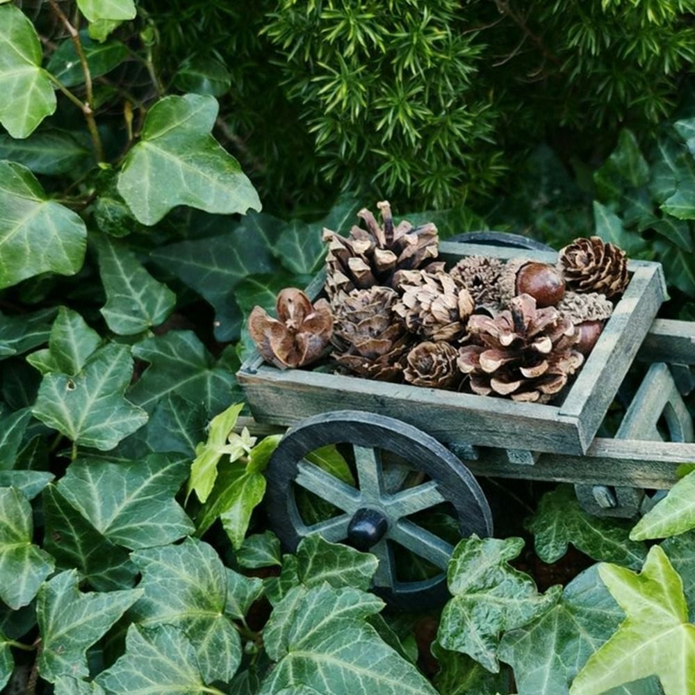 Yüksek Kalite 1:12 Ölçekli Dol - Smart Garden Mini incelemesi ve fiyatı